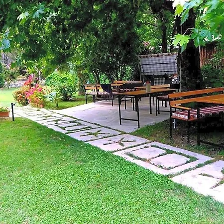 Arya Kemer