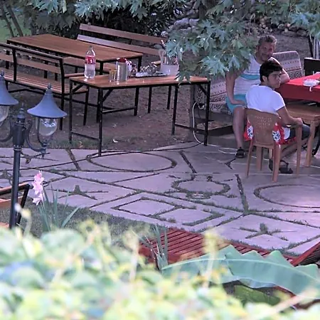 Arya Kemer
